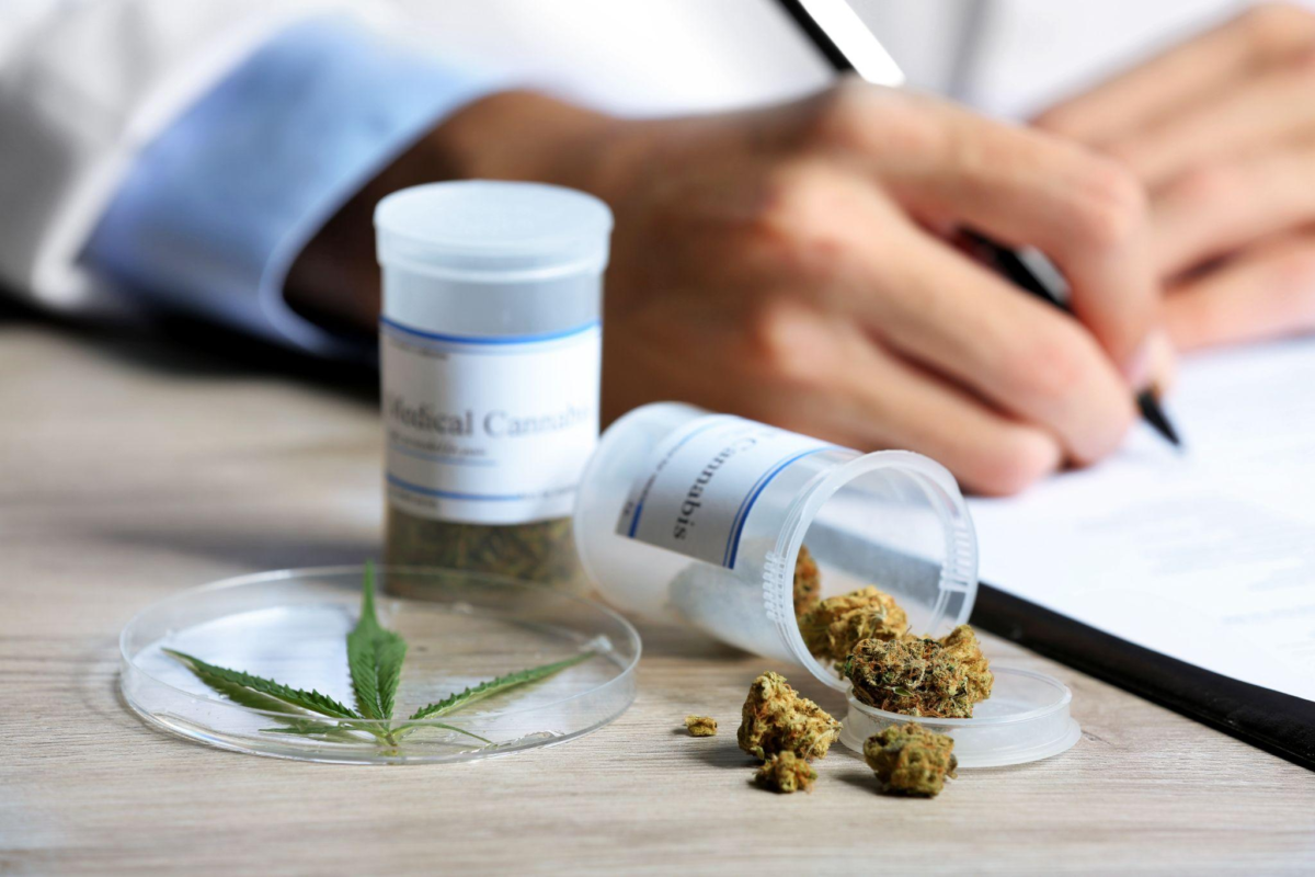 Hochwertige Medizinalcannabis Blüten als Cannabis auf Rezept verordnet für die Therapie