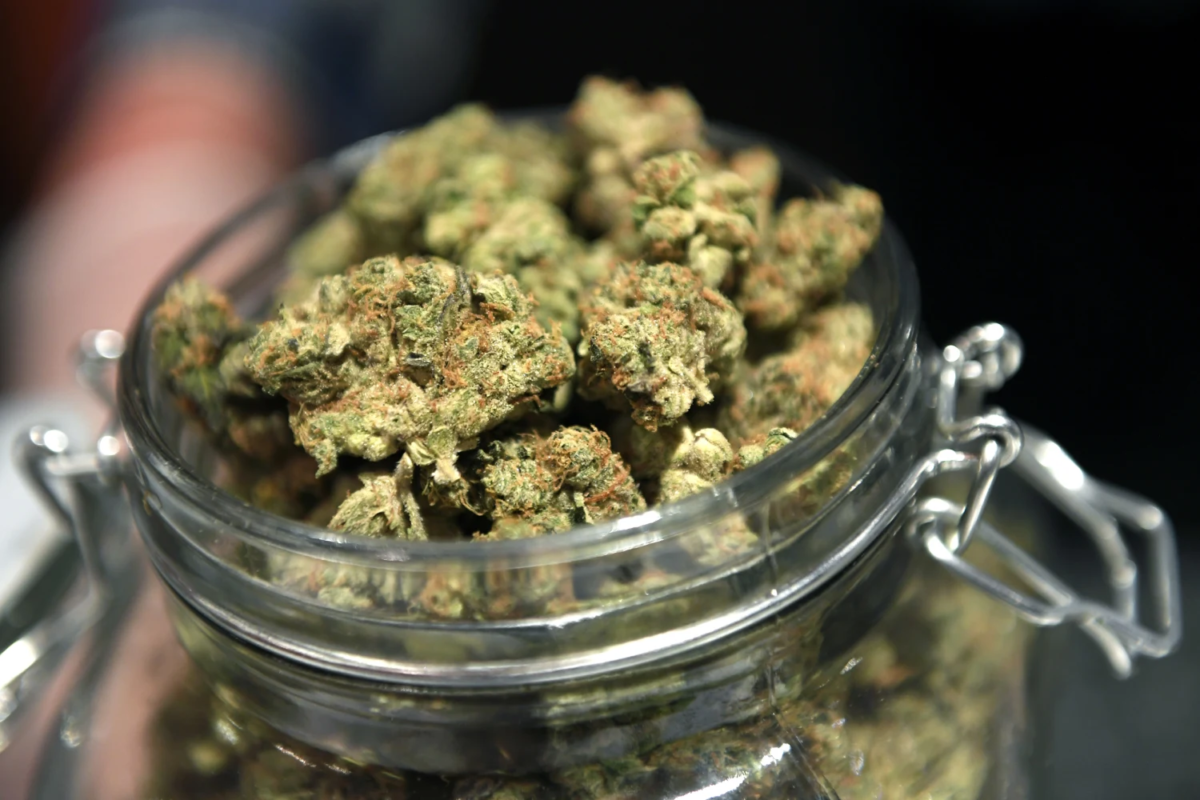 Hochwertiges medizinisches Cannabis kaufen mit klarem Label und Analysewerten