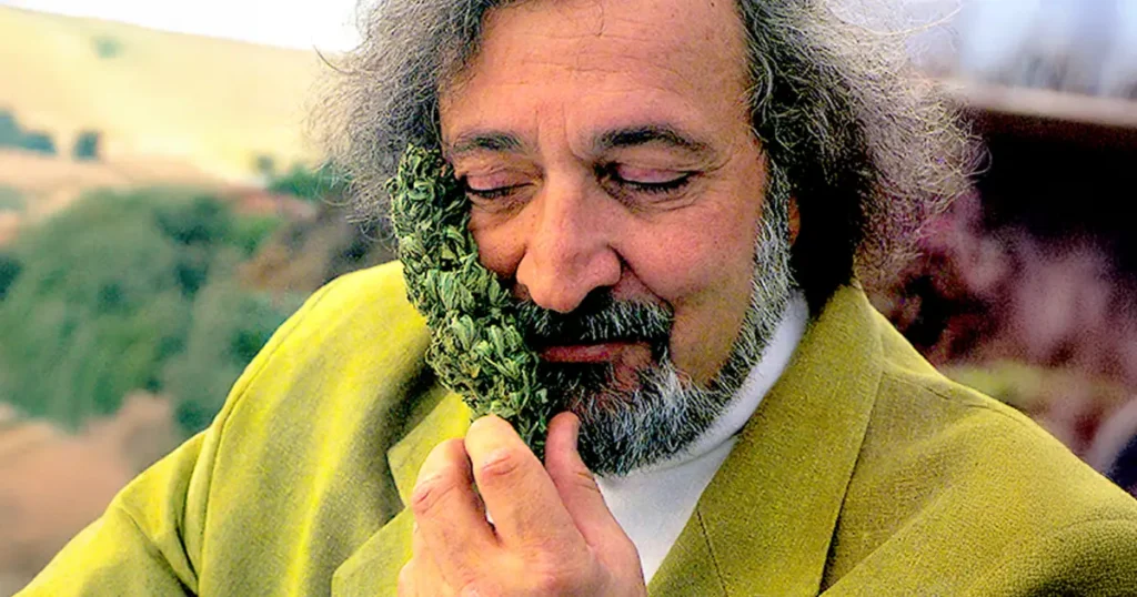 Kultprofil des Jack Herer Strains – Bezug auf Cannabis-Aktivisten, neunfachen Cannabis-Cup-Gewinner und Premium Cannabiswelt
