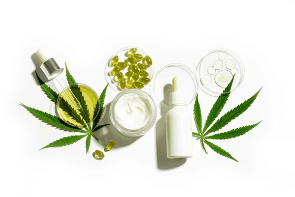 Praesentation von modernen Einweg-Vapes und Esswaren im Premium THC Store