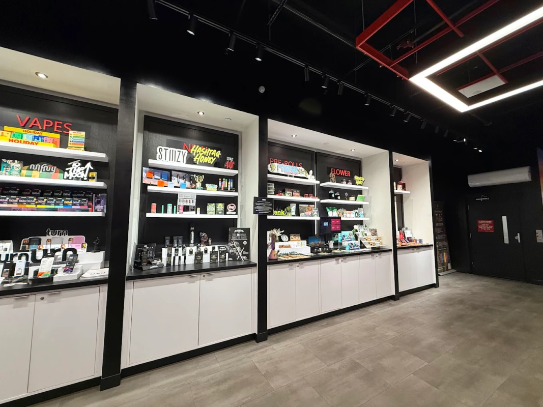 Produktauswahl im Premium THC Store – verschiedene 12000 Vape Modelle für jeden Geschmack