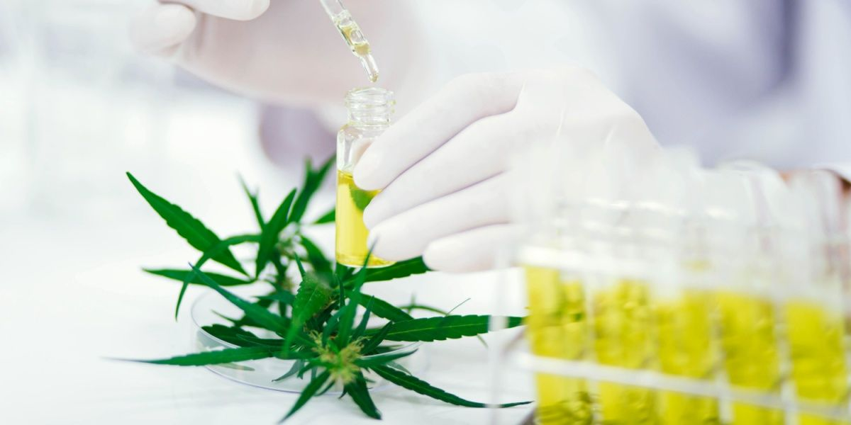 Professionelle Laboranalyse von einem thc liquid für garantierte Reinheit und Sicherheit