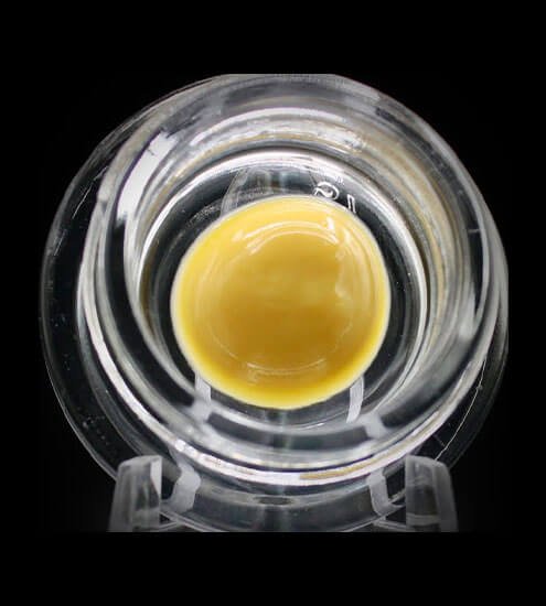Beezle Cindy 99 Budder Dose mit goldener Textur auf dunklem Hintergrund