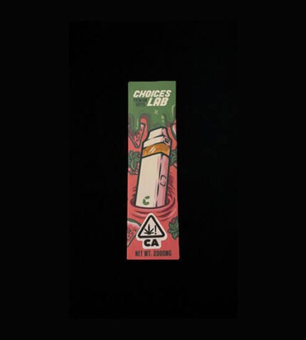 Choice Labs Dual Flavor Vape Gerät in der Handhaltung