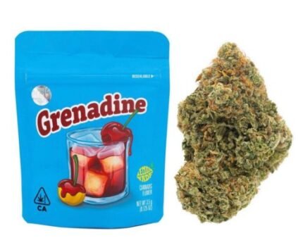 Grenadine Cookies Cannabis Blüten mit violetten Akzenten und Trichomen