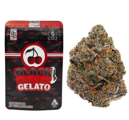 Black Cherry Gelato 14g Packung von Backpack Boyz im Premium THC Store