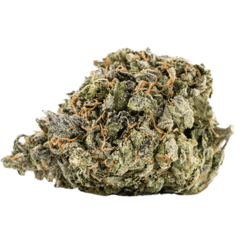 generic_1810726228.webp Miracle Alien Cookies MAC 1 dichte Blüten mit Trichomen