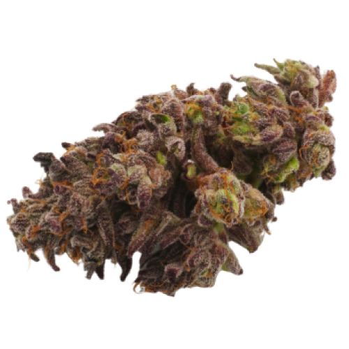 Gushers Cannabis Blüten mit kristallinen Trichomen im Detail