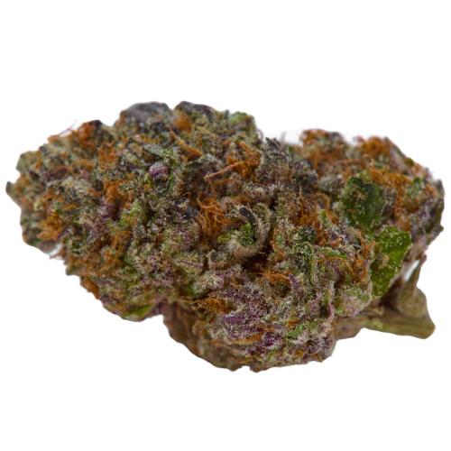 Fruity Pebbles Strain Nahaufnahme der harzigen lila-grünen Blüten