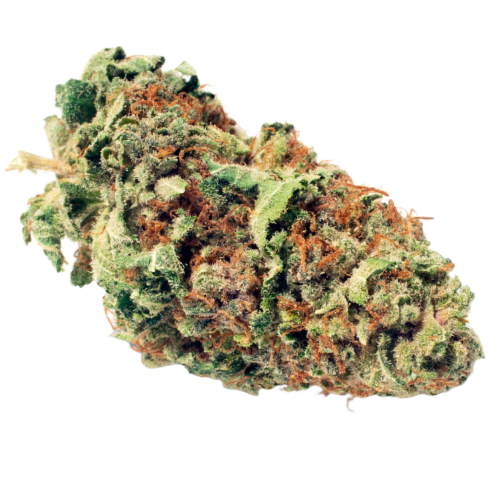 hybrid_1718057194.webp Snowcap Strain Nahaufnahme der harzigen Blüten für Kenner