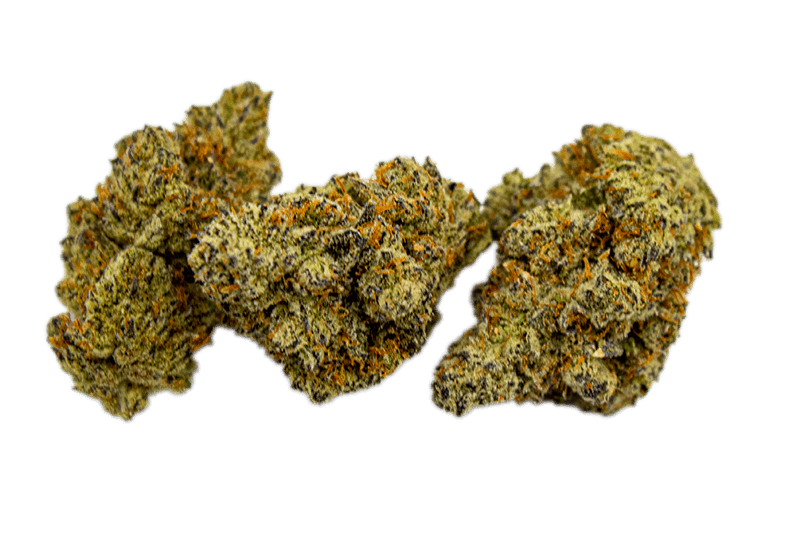 Premium Cannabisblüten mit sichtbaren Trichomen im Premium THC Store