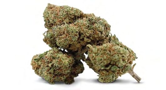 Premium Cannabis Blüten für den diskreten Online Einkauf im Hanfshop
