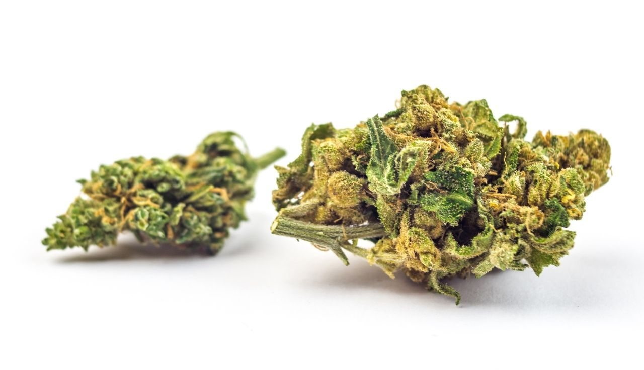 Premium Cannabis Blueten nach der Cannabis Legalisierung in Deutschland online bestellen