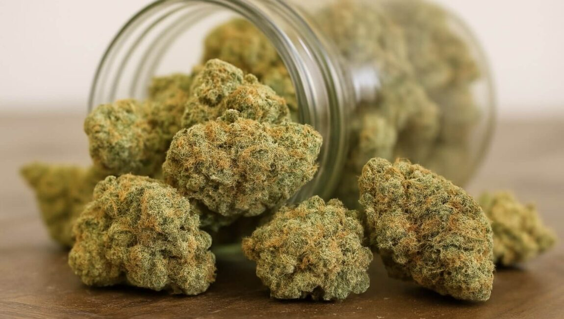 Legal Cannabis kaufen im Premium THC Store fuer sicheren und diskreten Genuss
