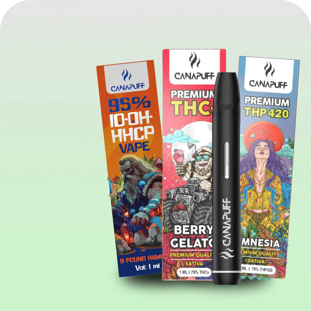 THC Vapes der Premium-Qualität im Premium THC Store online bestellen