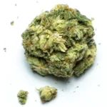 Granddaddy Purple Strain getrocknete Blüten mit violetten Nuancen