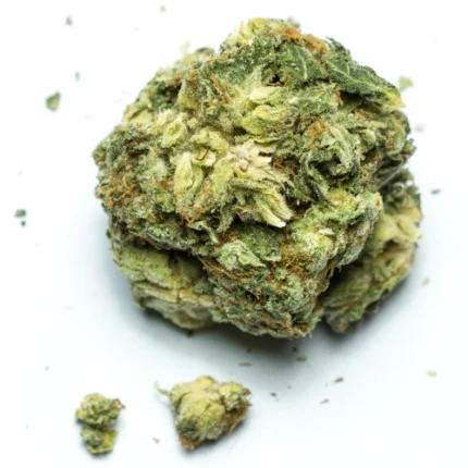 Granddaddy Purple Strain getrocknete Blüten mit violetten Nuancen