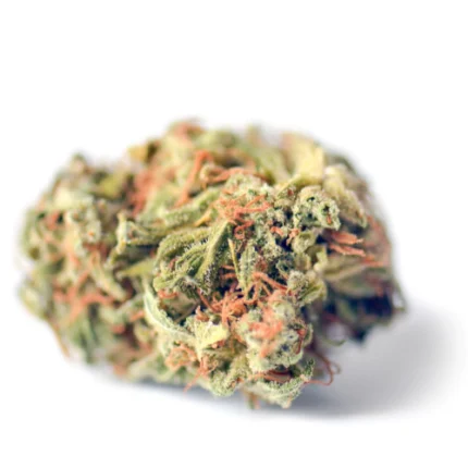 Forbidden Fruit Cannabis Blüte Nahaufnahme mit violetten Nuancen