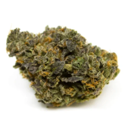 Ice Cream Cake Strain Blüten mit violetten Akzenten und harzigen Trichomen