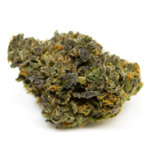indica-dominant-hybrid_1694660521.webp Ice Cream Cake Strain Blüten mit violetten Akzenten und harzigen Trichomen