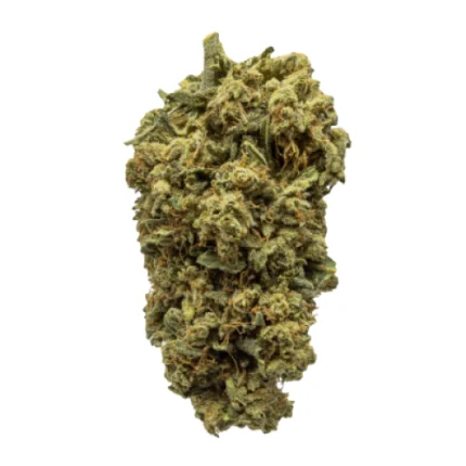 Sunset Sherbet Strain Nahaufnahme der violetten Blüten