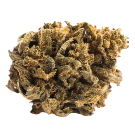 Grape Ape Cannabis Blüte mit violetten Farbtönen Nahaufnahme