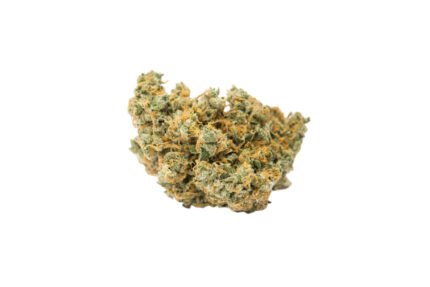 Jack Herer - Image 3