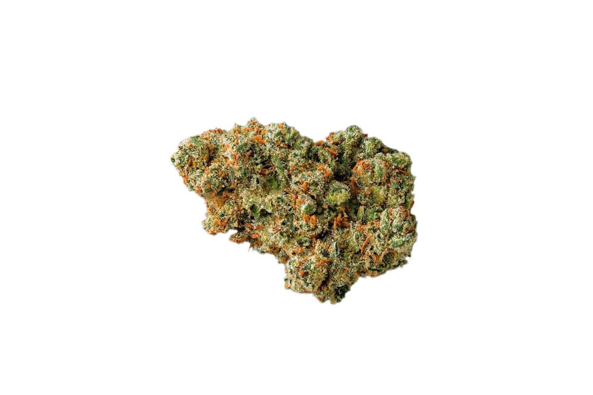 Jack Herer - Image 2