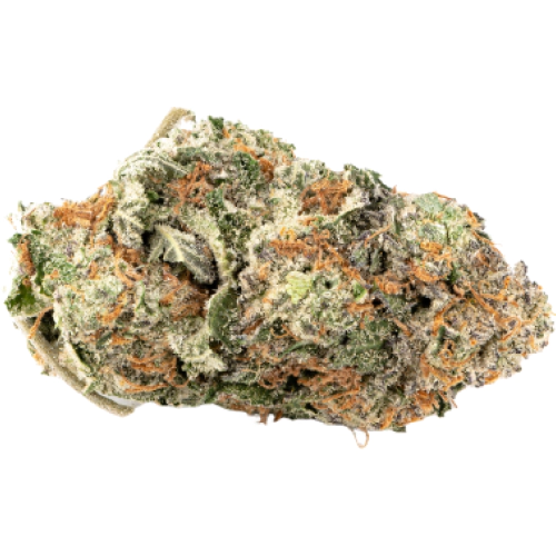 AK-47 Cannabis Knospe in Premium Verpackung vom Premium THC Store